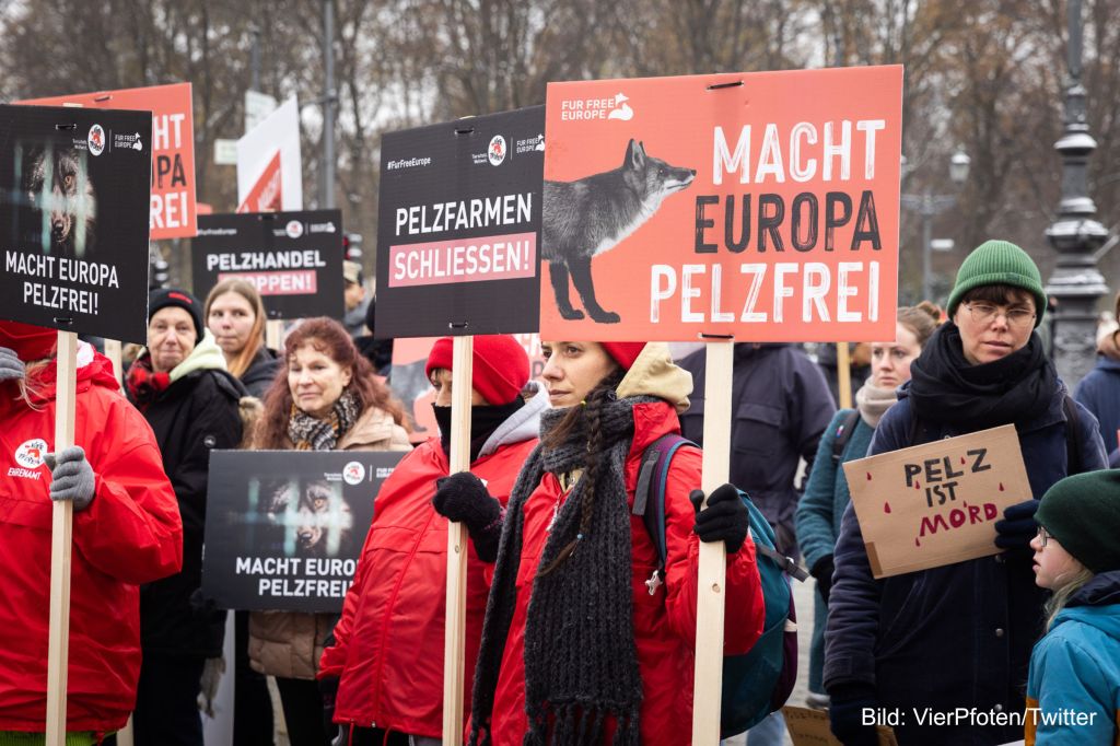 eine Demonstration von Vier Pfoten gegen Pelzfarmen. Symbolbild für ein Interview mit Lisa Brandstätter über digitale Kommunikation für NGO.
