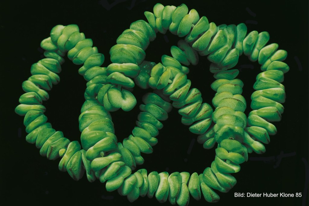 Höheren Zielen zuwenden